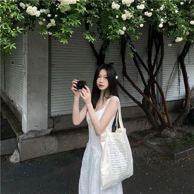 明月守护者